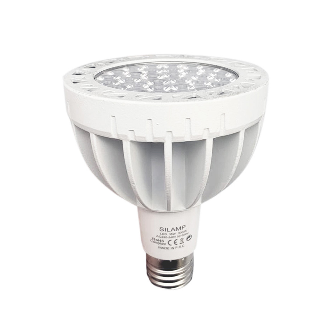 PAR30/PAR38 Led